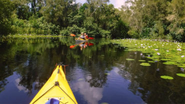 Kanu Kapers Noosa Everglades