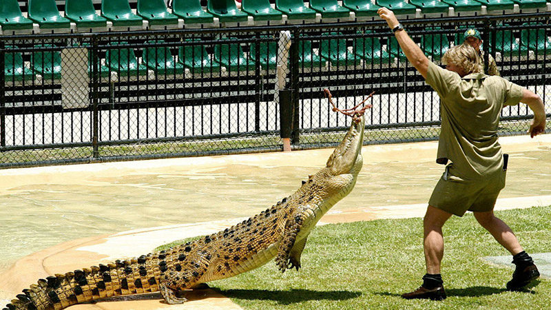 Australia Zoo Wildlife Park