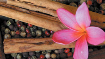 Ikatan Day Spa escape