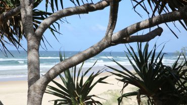 Explore Noosa’s eastern beaches