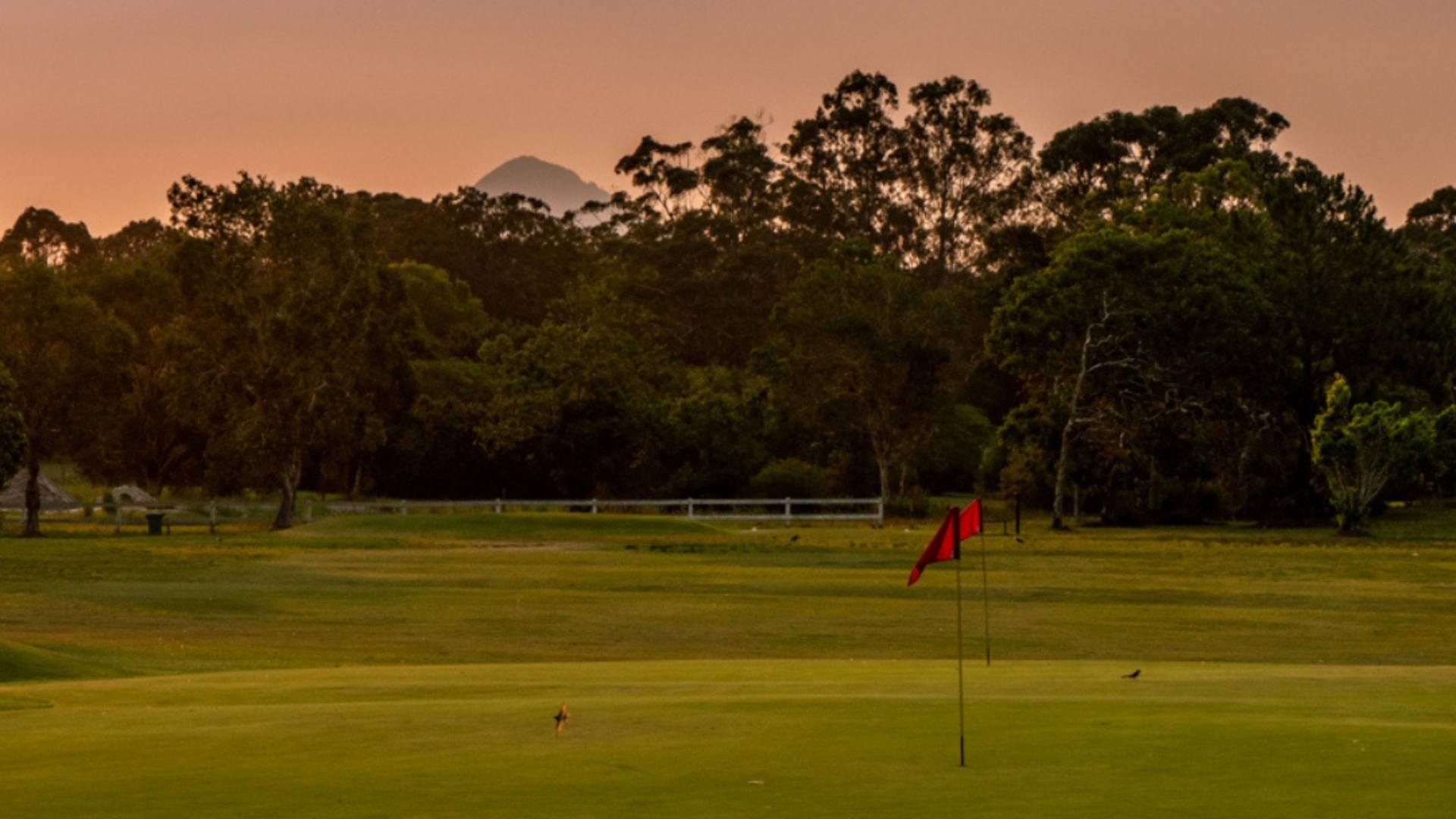 Golf Course Noosa