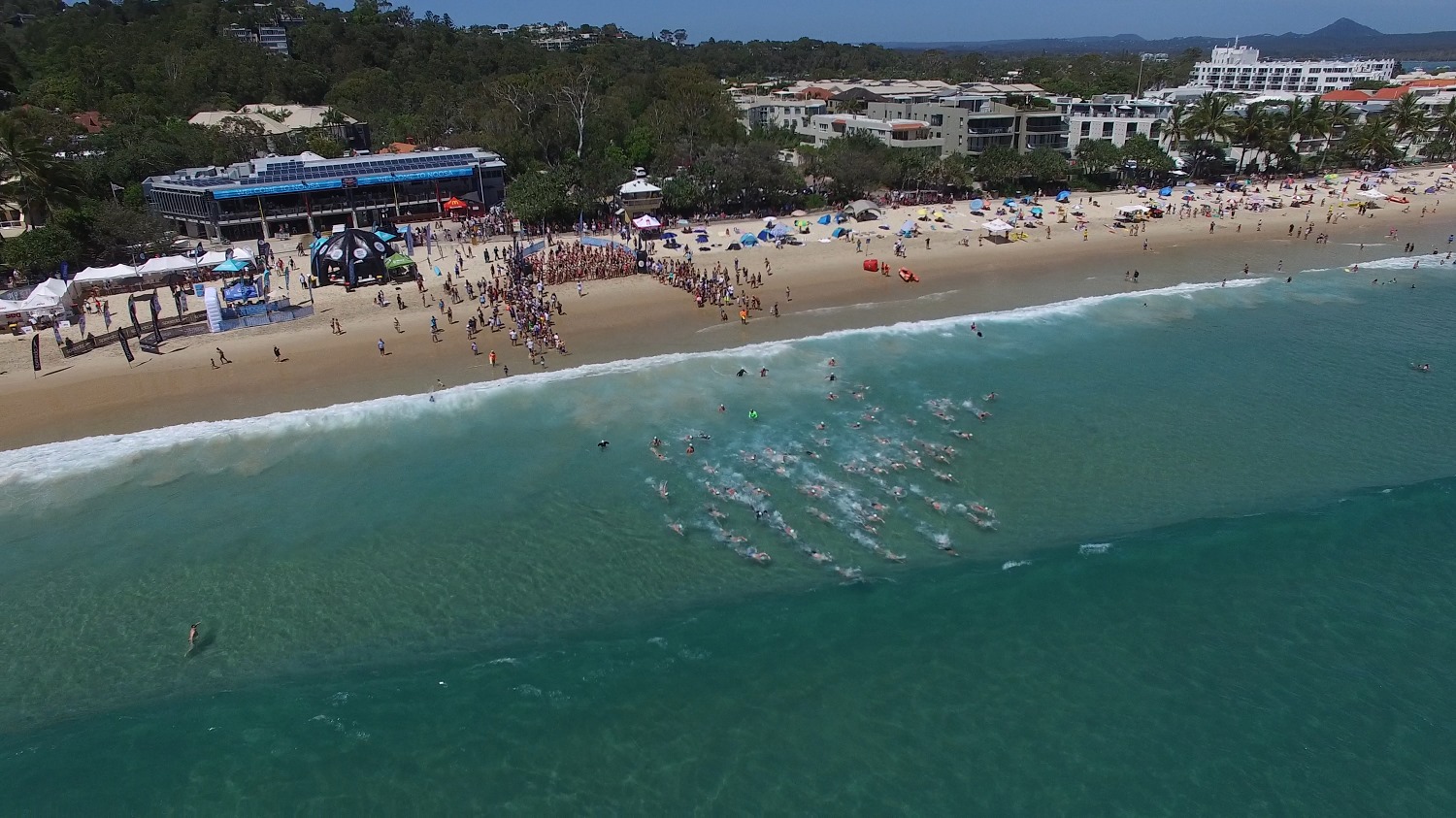 Noosa Summer Swim - Arial shot of swimmers on Noosa Main Beach