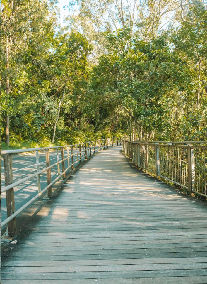 Boardwalk Noosa