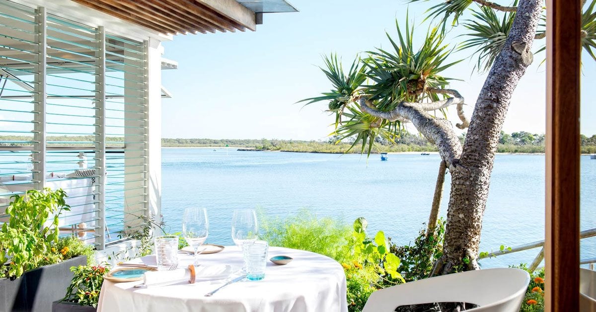 dine at Rickys Noosa, great service, cocktails and food overlooking Noosa River