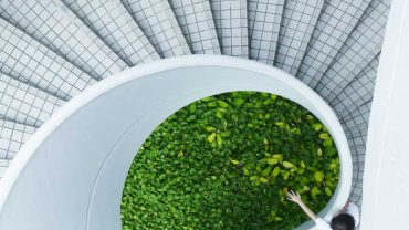 Clean And Green With Ha-Ra