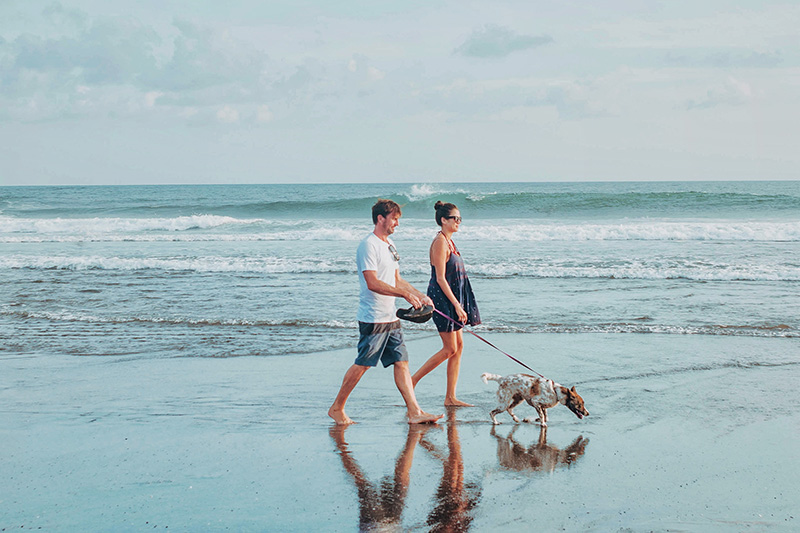 Dog-Friendly Beaches